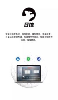 资易通处置总额破千亿背后 看四款猫系产品的合纵连横